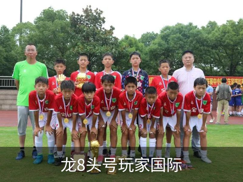 关于龙8头号玩家国际